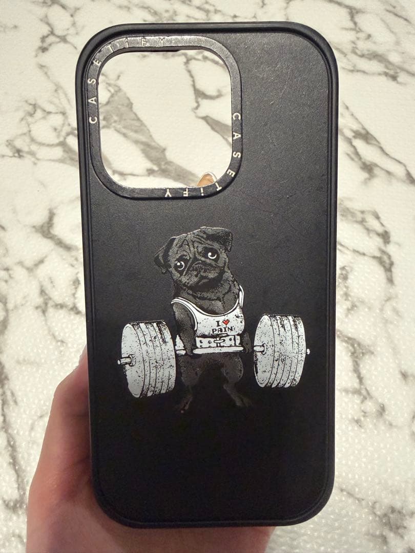 CASETiFY パグデザイン ハードケース　15pro