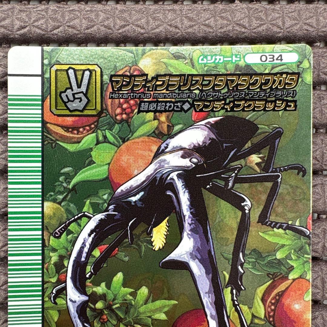 希少 美品 マンディブラリスフタマタクワガタ 5周年 緑バーコード ムシキング