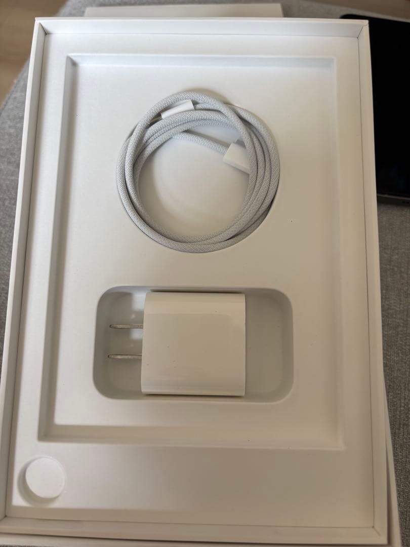 Apple iPad mini6世代　64gb