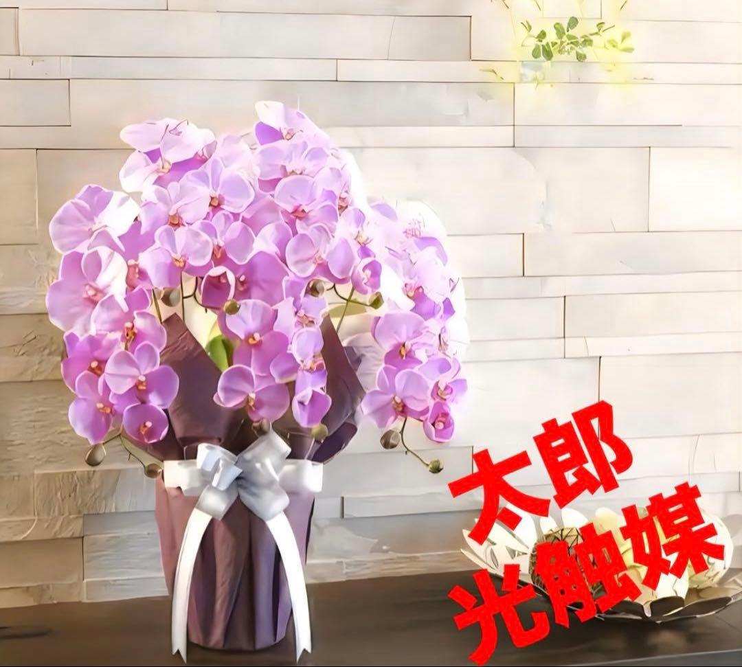 光触媒　人工観葉植物　フェイクグリーン　エレガント胡蝶蘭5本立L