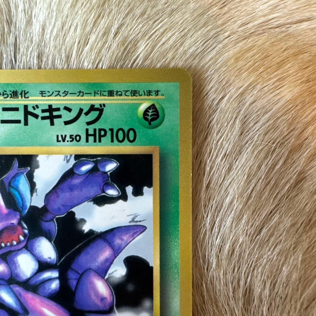 サカキのニドキング P : 旧裏 プロモ「コロコロコミック 1999年8月号」)