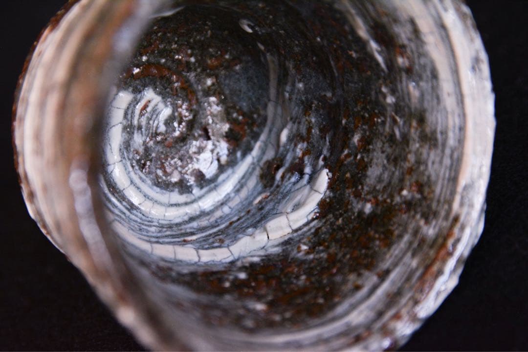 【中川自然坊】刷毛目唐津ぐい呑