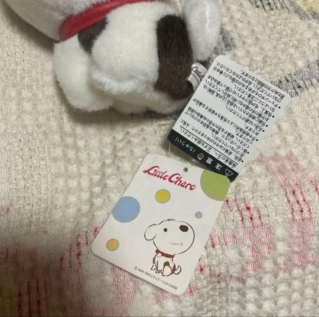 NHK 2008 Little Charo チャロ　ぬいぐるみ　中古品