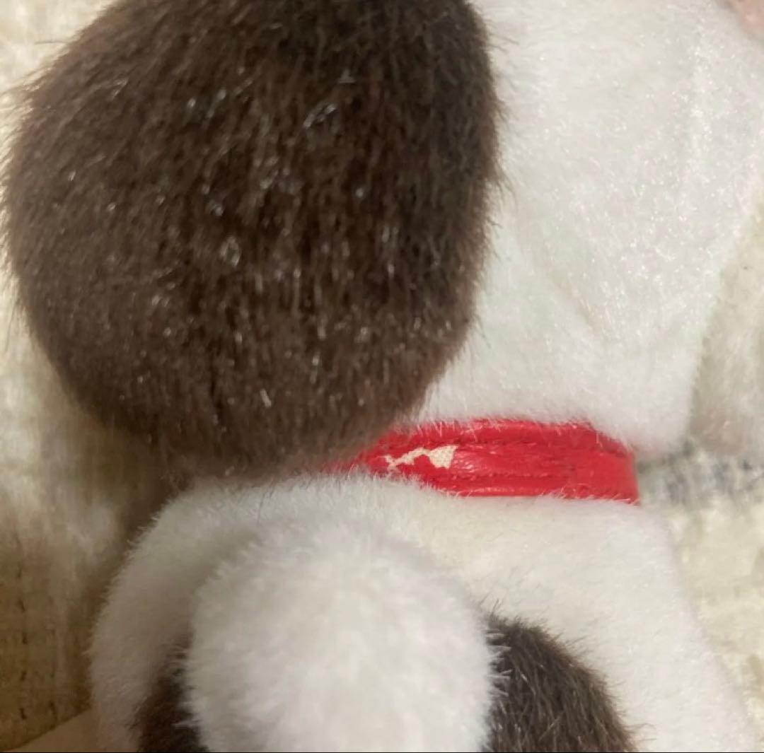 NHK 2008 Little Charo チャロ　ぬいぐるみ　中古品