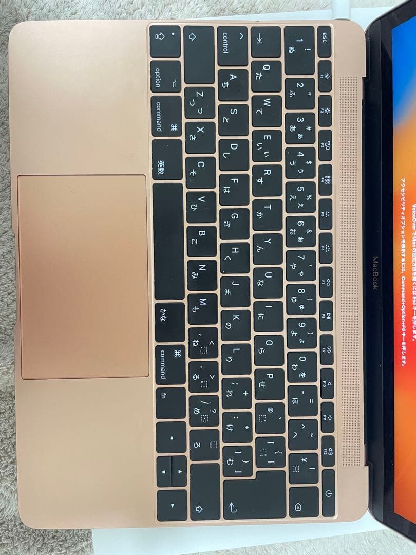 【ジャンク】MacBook 12-inch 2017 m3/8GB/256GB
