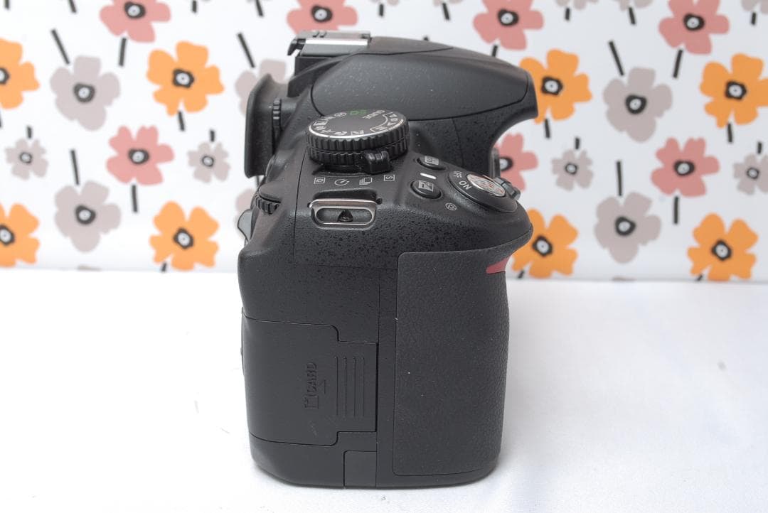 ❤Nikon D3100❤ショット数1,188回！❤ガイドモード搭載❤入学式に❤