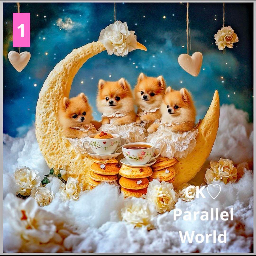 6重ガーゼハンカチ♥フラットポーチ♥オーダー受け付け専用ページ