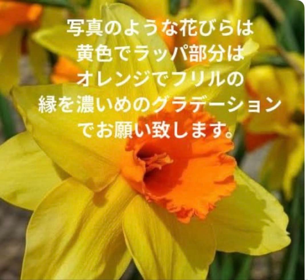 SAKAO✨