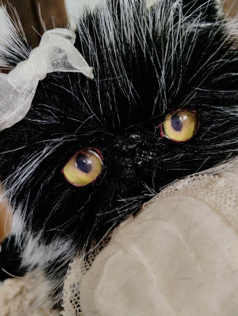 幼猫♡黒猫子猫ゴマちゃん♡アートドール♡ぬいぐるみ♡