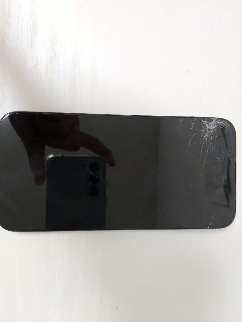iPhone 15 Pro Max 256GB ジャンク（通電確認済）
