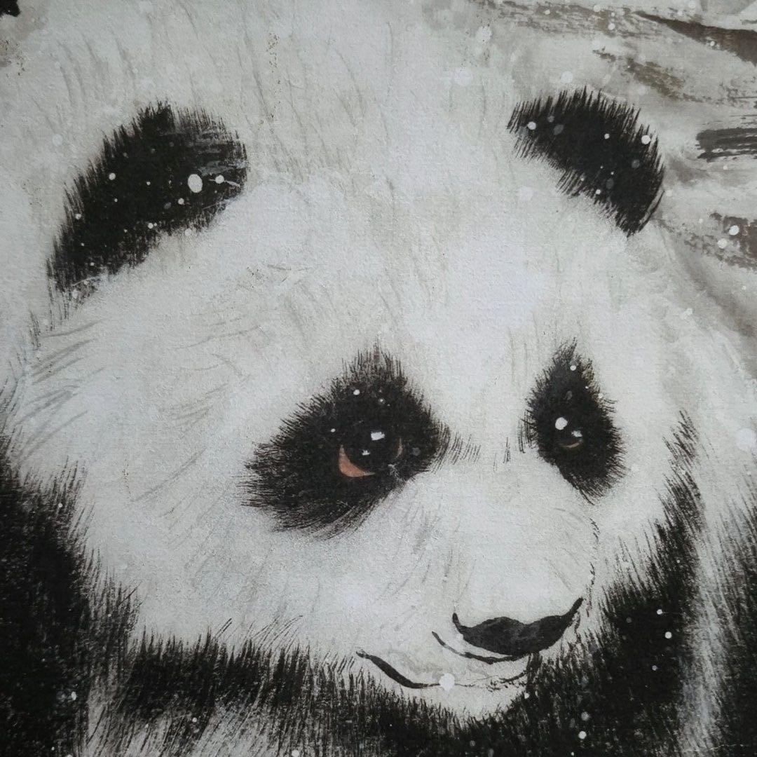 郎世宁 雪熊 中国画 掛け軸 水墨画 和室 玄関 茶室 壁掛け 美術品