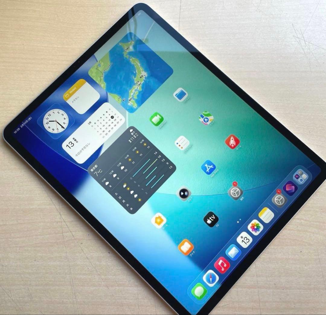 iPad Pro 12.9 第4世代 シルバー　128GB 超美品 #3