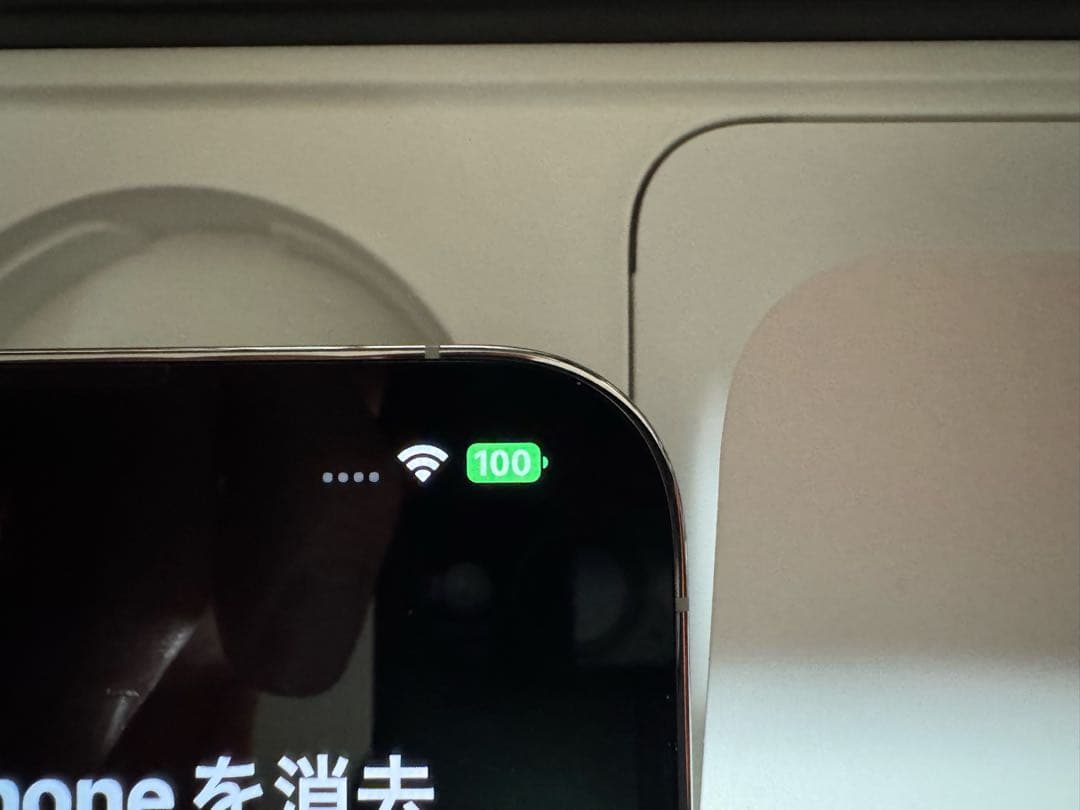 ★iPhone 13 Pro Max★ 1TB ★ シルバー★ 最大容量96%