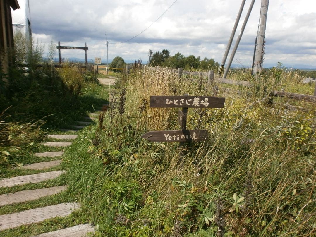 OLYMPUS D-700 コンパクトデジタルカメラ