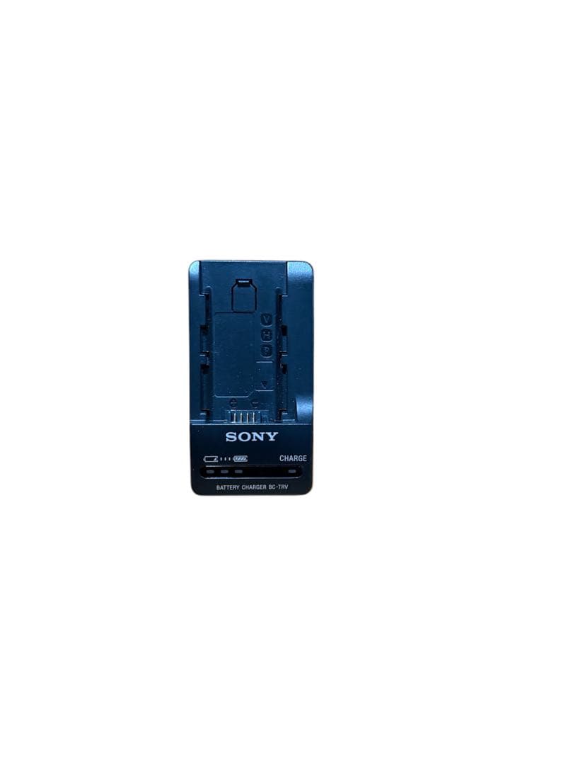 ビデオカメラ SONY FDR-AX30