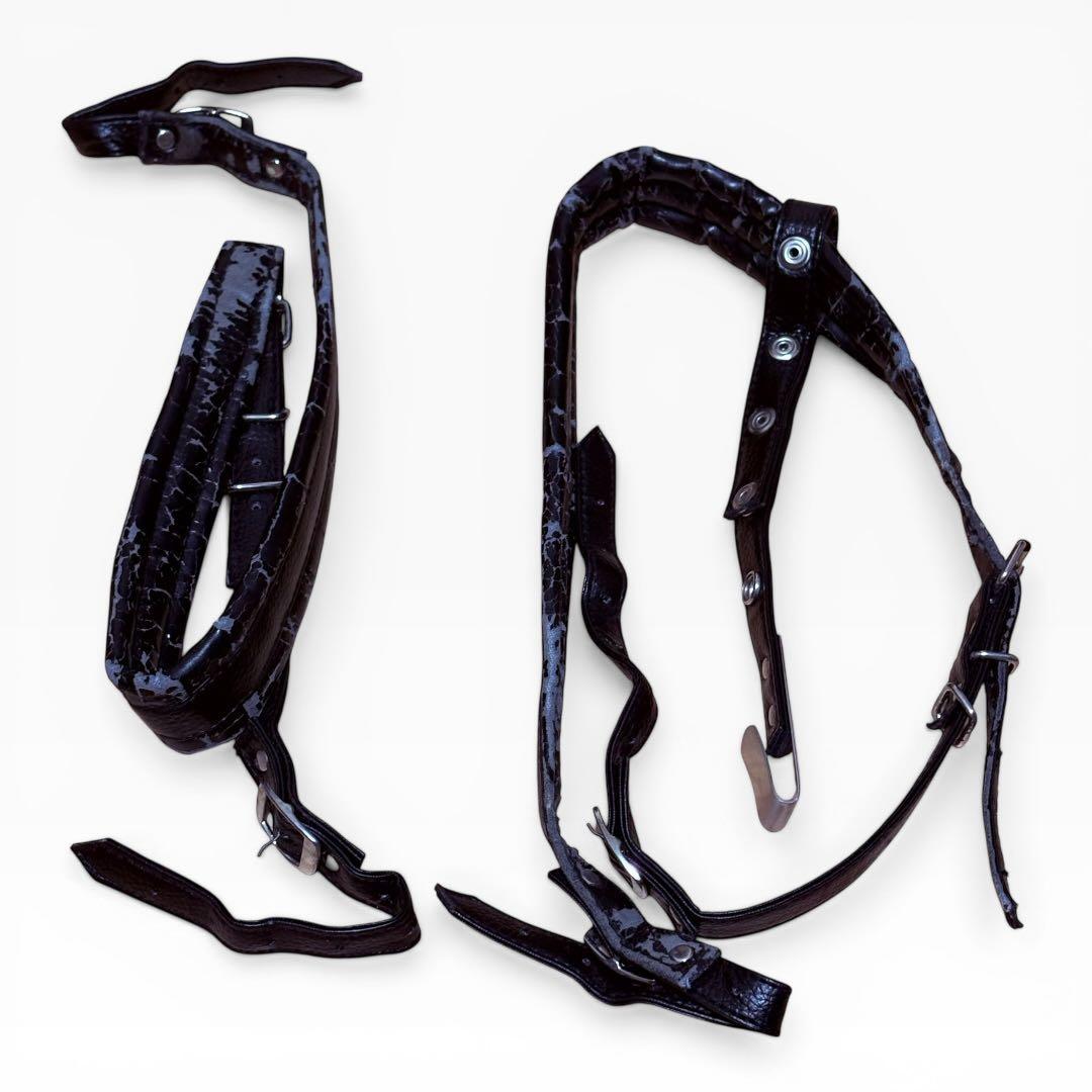 【極美品】HOHNER Morgane D-G調 ダイアトニック アコーディオン