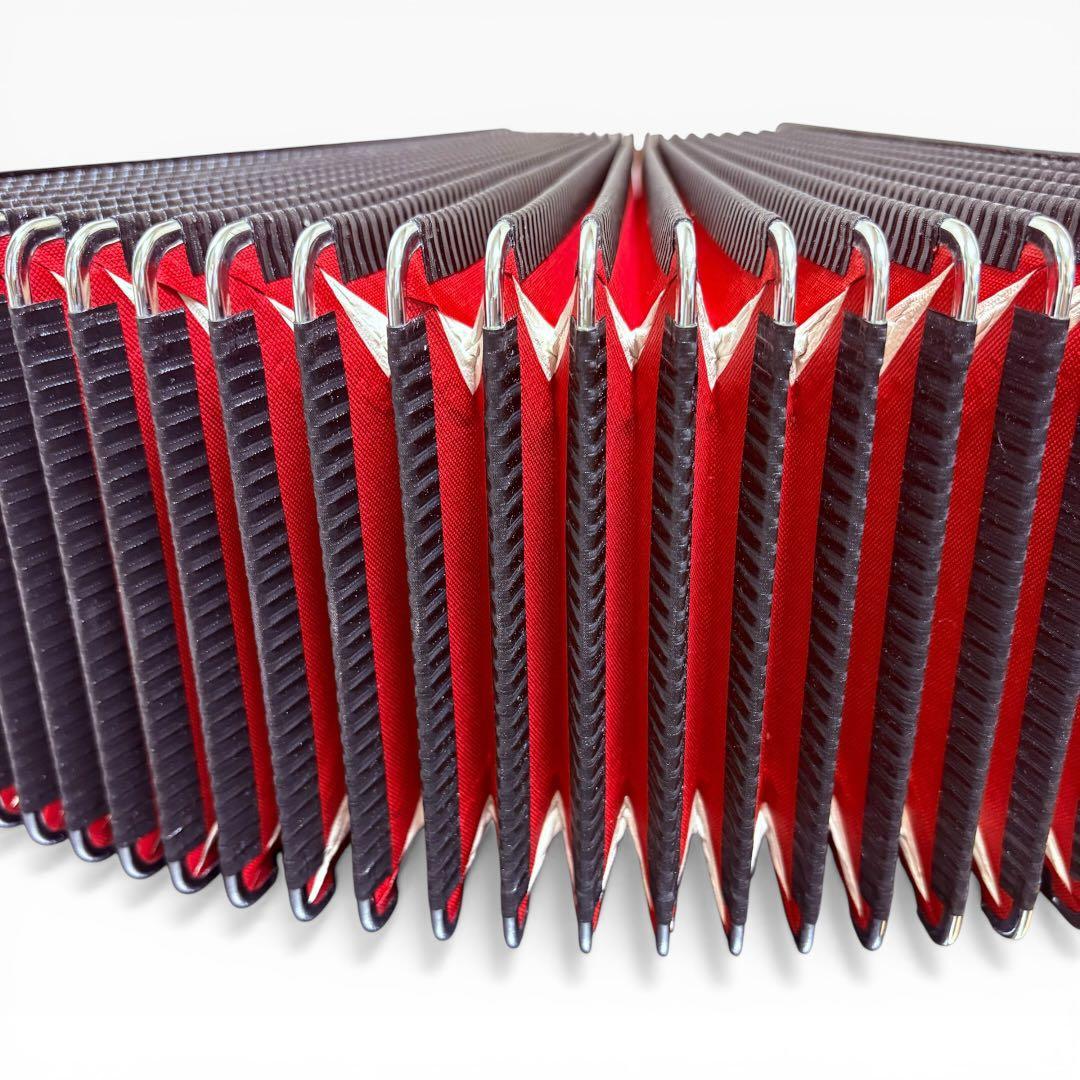 【極美品】HOHNER Morgane D-G調 ダイアトニック アコーディオン