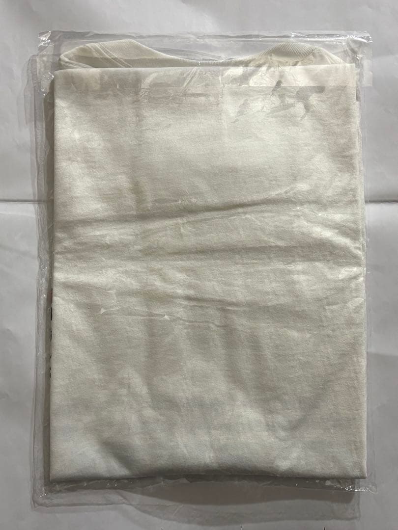 ハイスタ Hi-STANDARD Tシャツ　tmpaint【新品未開封】