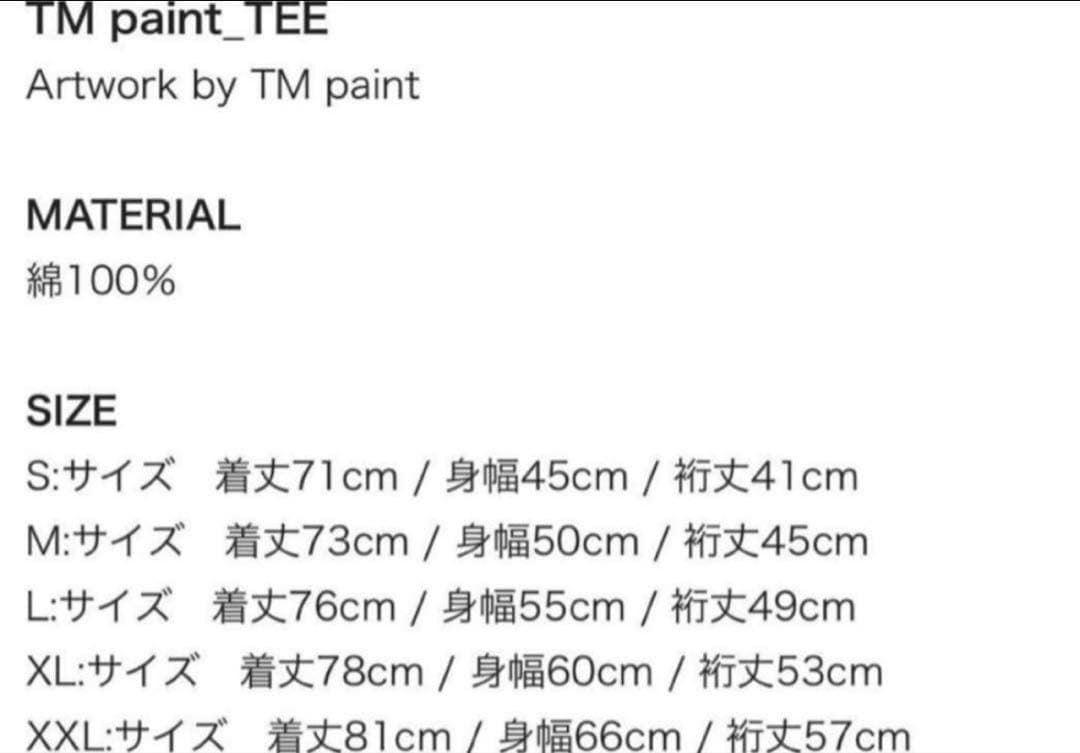 ハイスタ Hi-STANDARD Tシャツ　tmpaint【新品未開封】