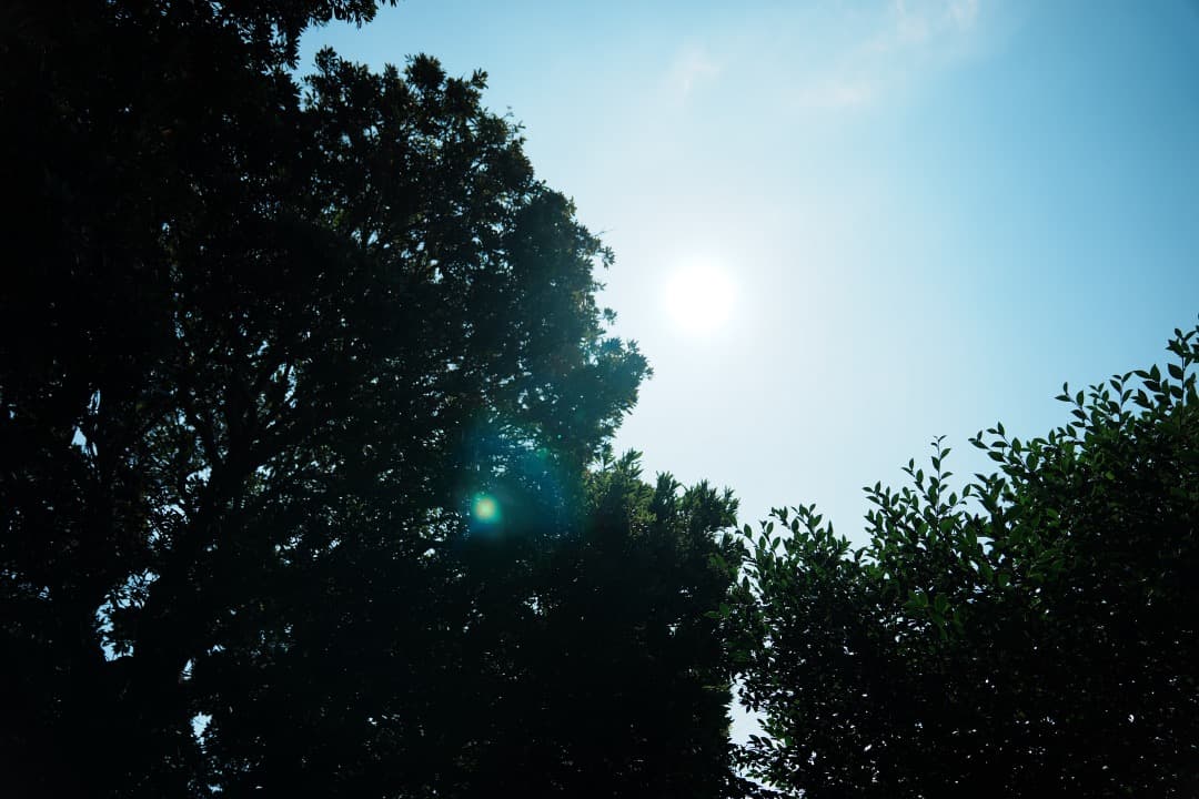 【美品】SONY FE24-70mm F2.8 GM レンズ SEL2470GM