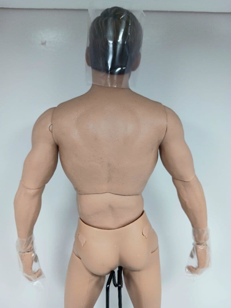 ホットトイズ トゥルータイプ マスキュラー・ボディ 白人男性 フィギュア