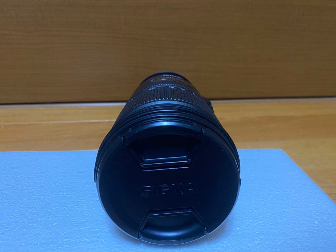 シグマ 70-200mm F2.8 APO DG EX HSM