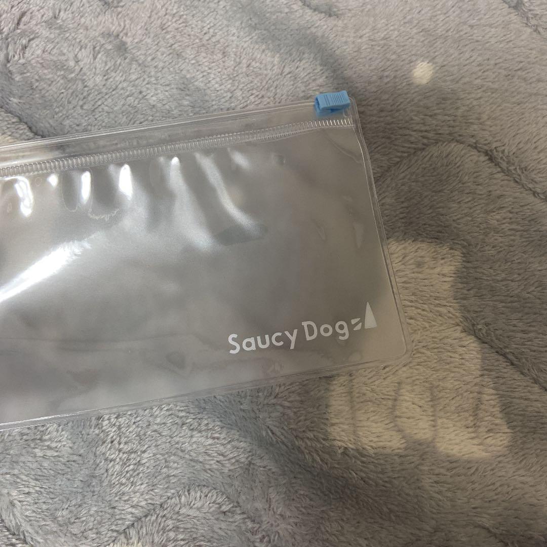 Saucy Dog ステッカー ケース付き
