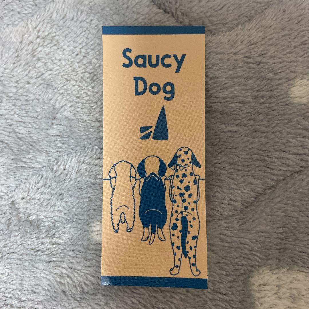 Saucy Dog ステッカー ケース付き