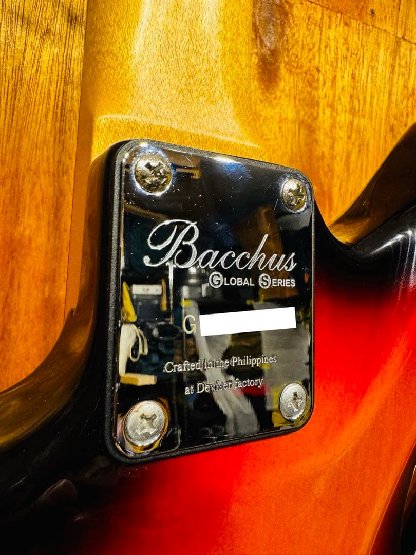 【終売品】Bacchus WINDY PLD Global Series 3ST