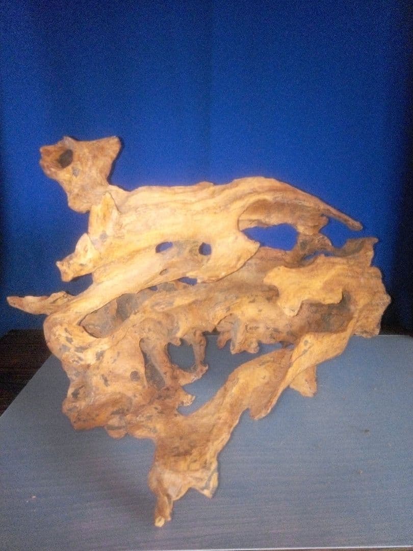 工芸品　　木の根のオブジェ