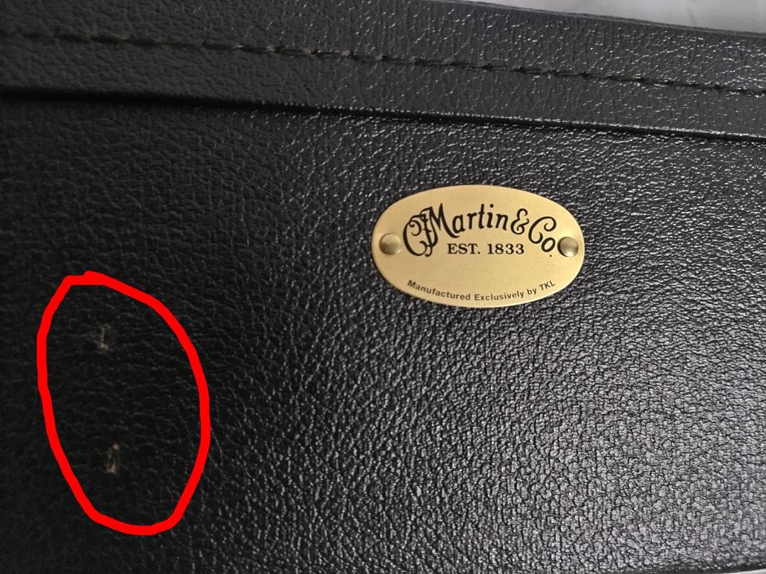 Martin エレアコ GPCPA4