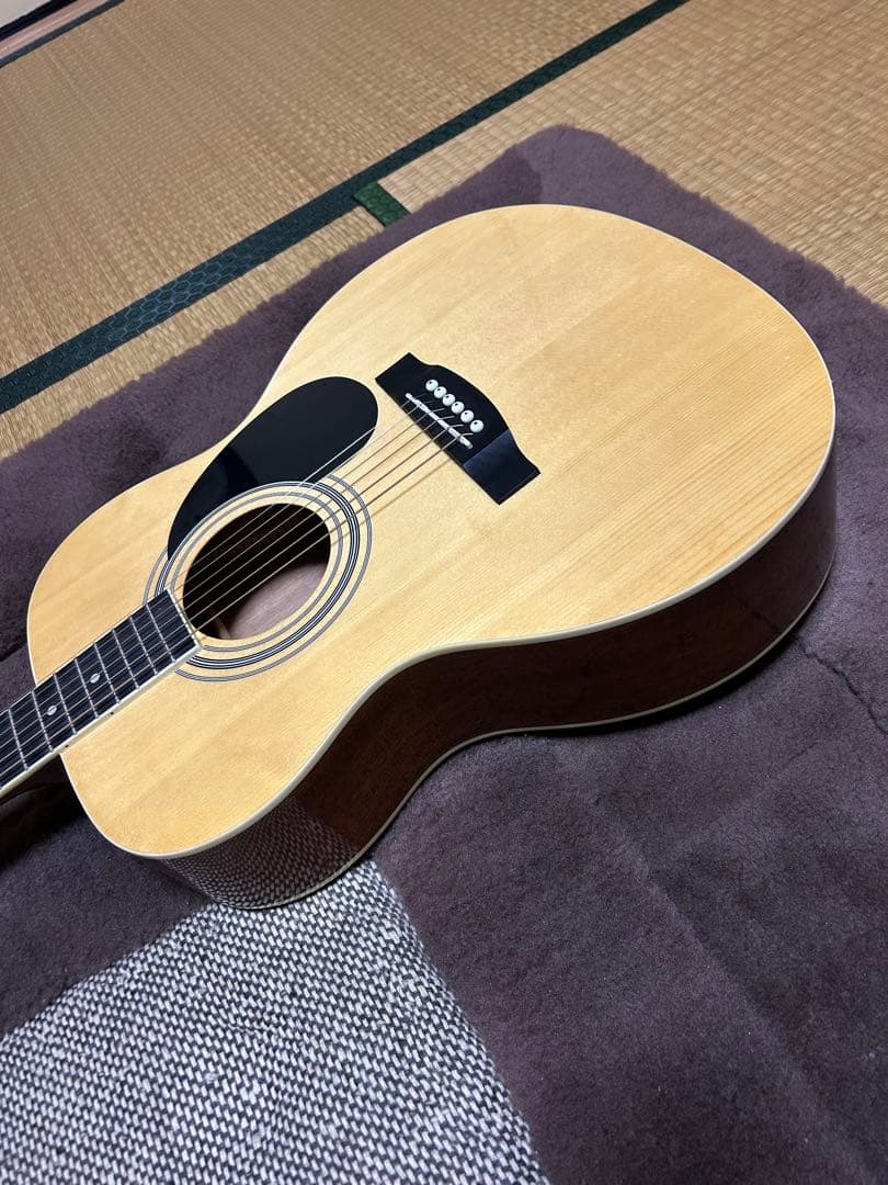 HONEY BEE アコースティックギター　キャリングケース付属送料込みです。