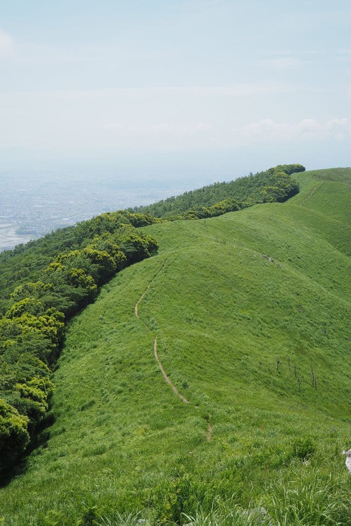 再値下げ！OLYMPUS OM-D E-M10 Mark II