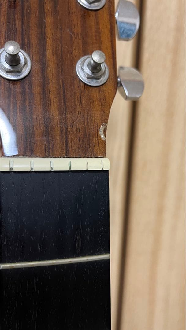 MORRIS アコースティックギター F-280 TS