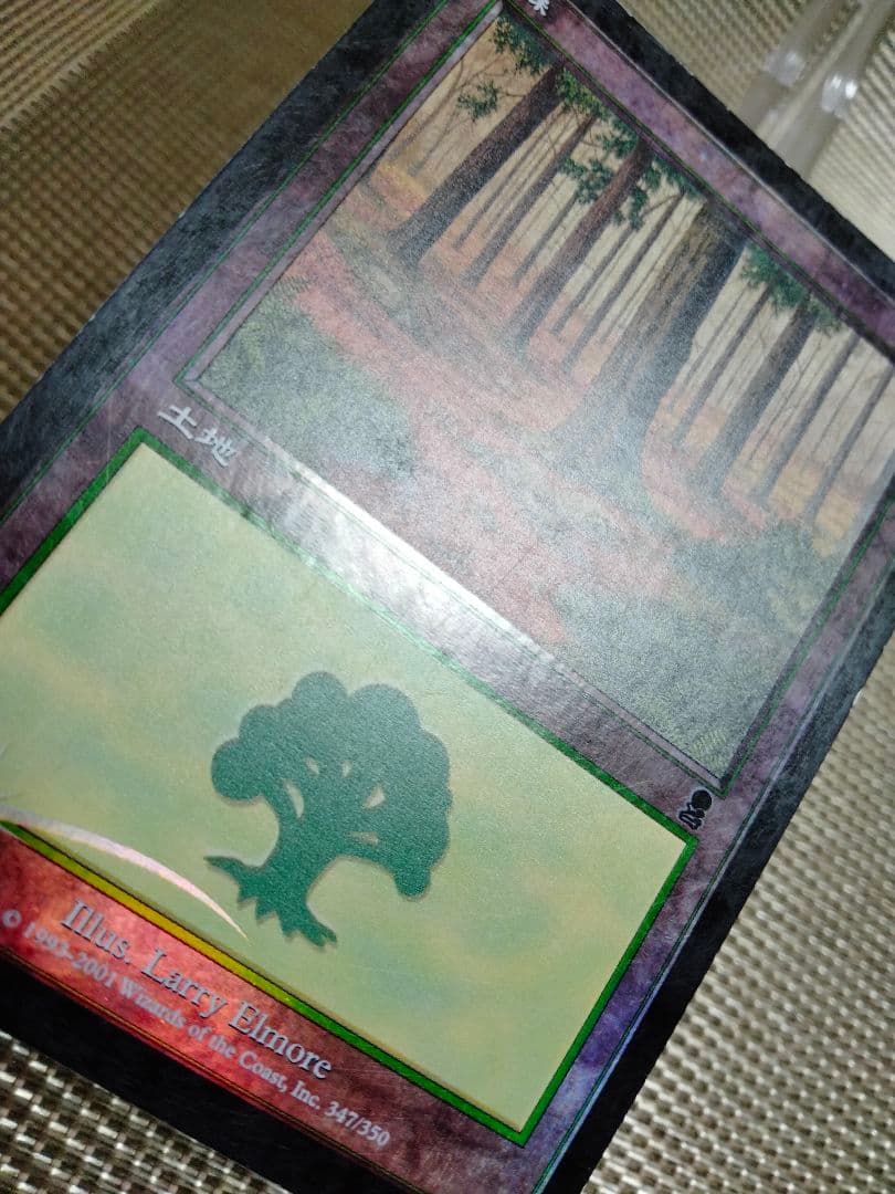 【ご確認用】オデッセイ foil 森(347) 日本語 1枚　MP寄り　MTG
