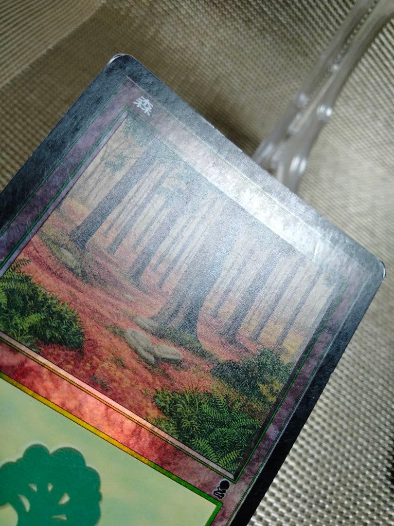 【ご確認用】オデッセイ foil 森(347) 日本語 1枚　MP寄り　MTG