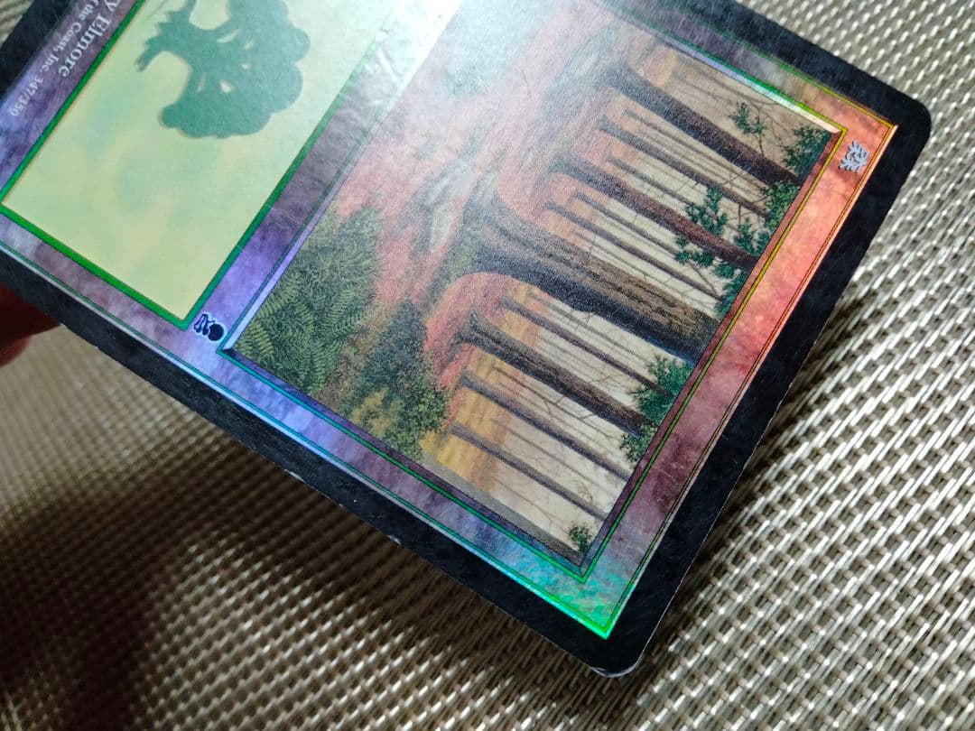 【ご確認用】オデッセイ foil 森(347) 日本語 1枚　MP寄り　MTG