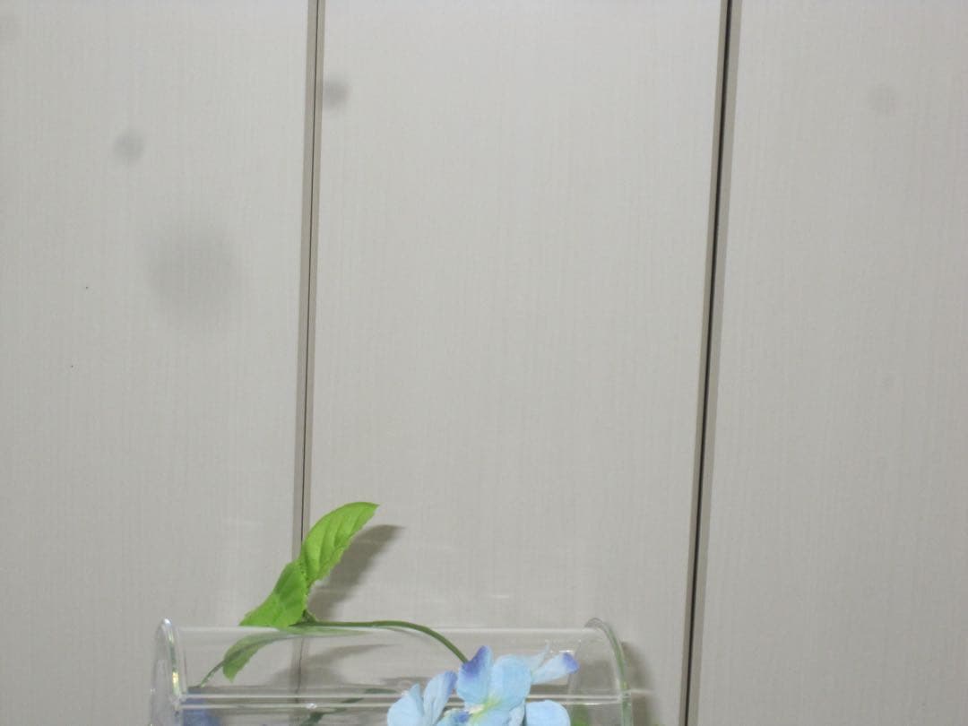 Canon カメラ　IXY 930IS PC1437 充電器　箱　コンデジ　可動