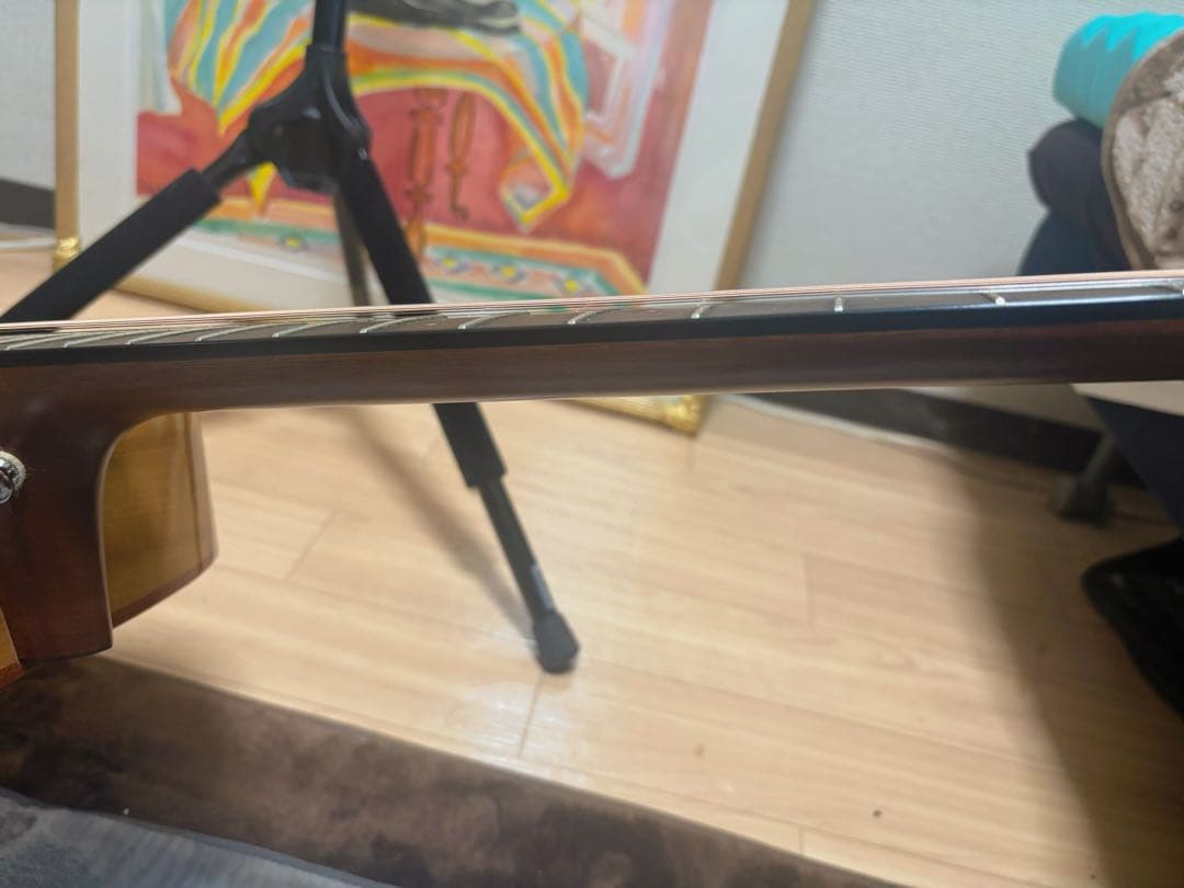 ヘッドウェイ⭐︎HGAF-5100SE⭐︎アコースティックギター⭐︎エレアコ