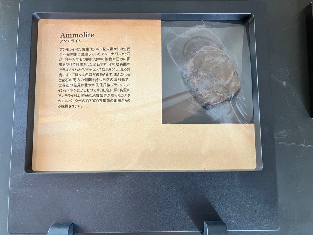 アンモライト⭐︎200カラット（41g ）