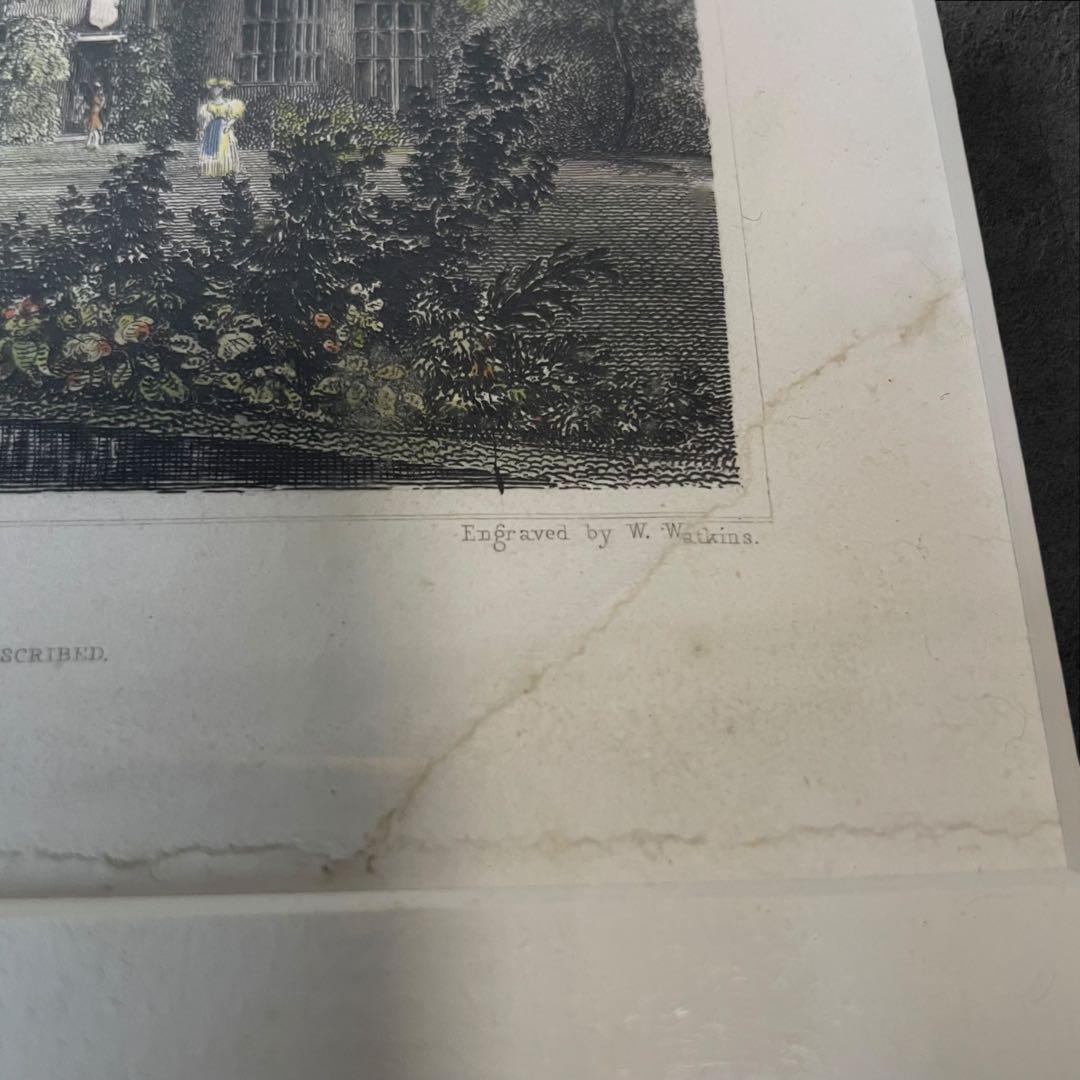 MOTHS PARK 銅版画 1832年製