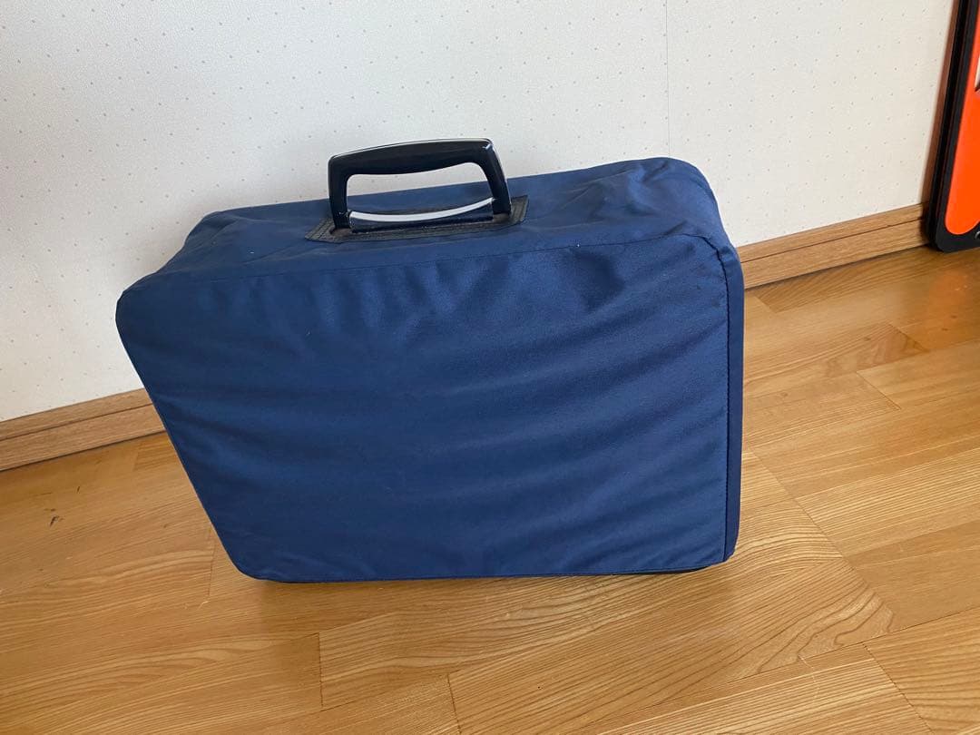 三味線本体とキャリングケース