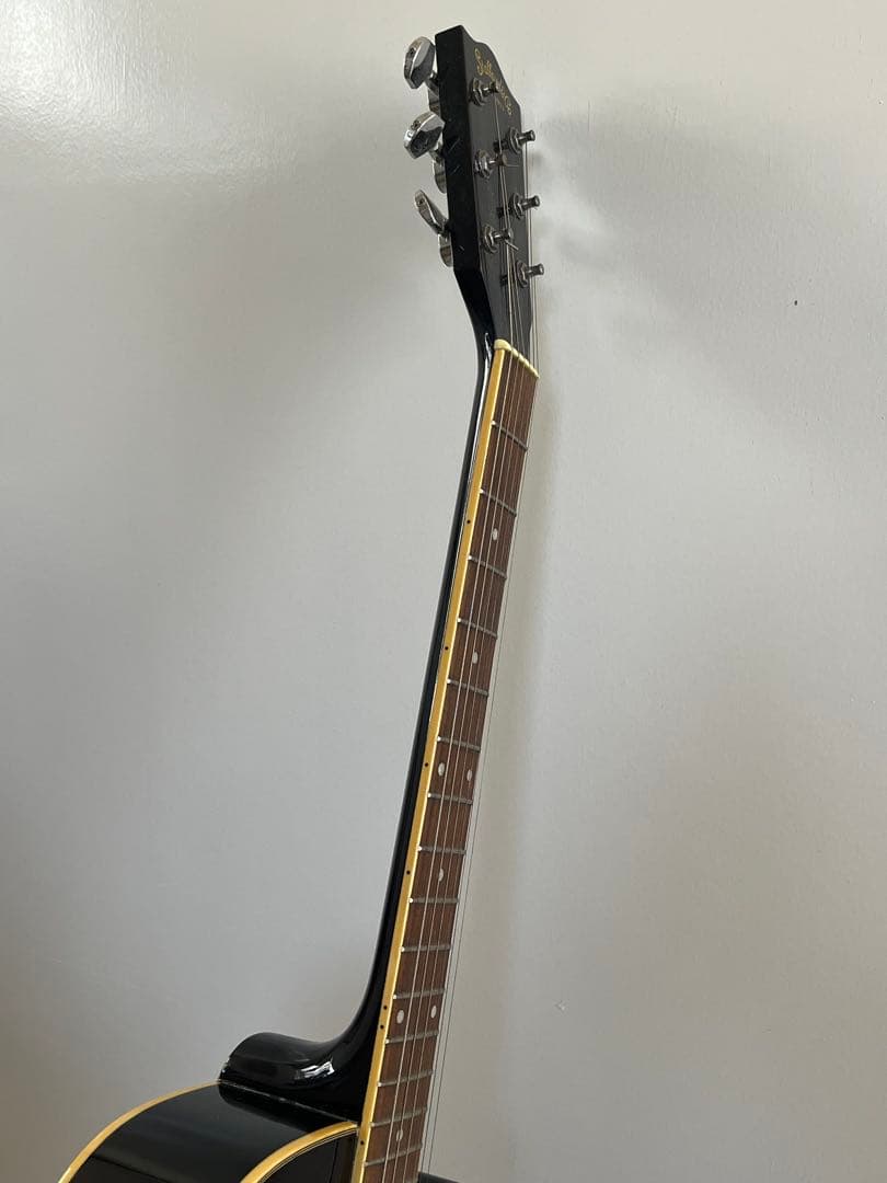 Stafford スタッフォード SE500 エレアコ