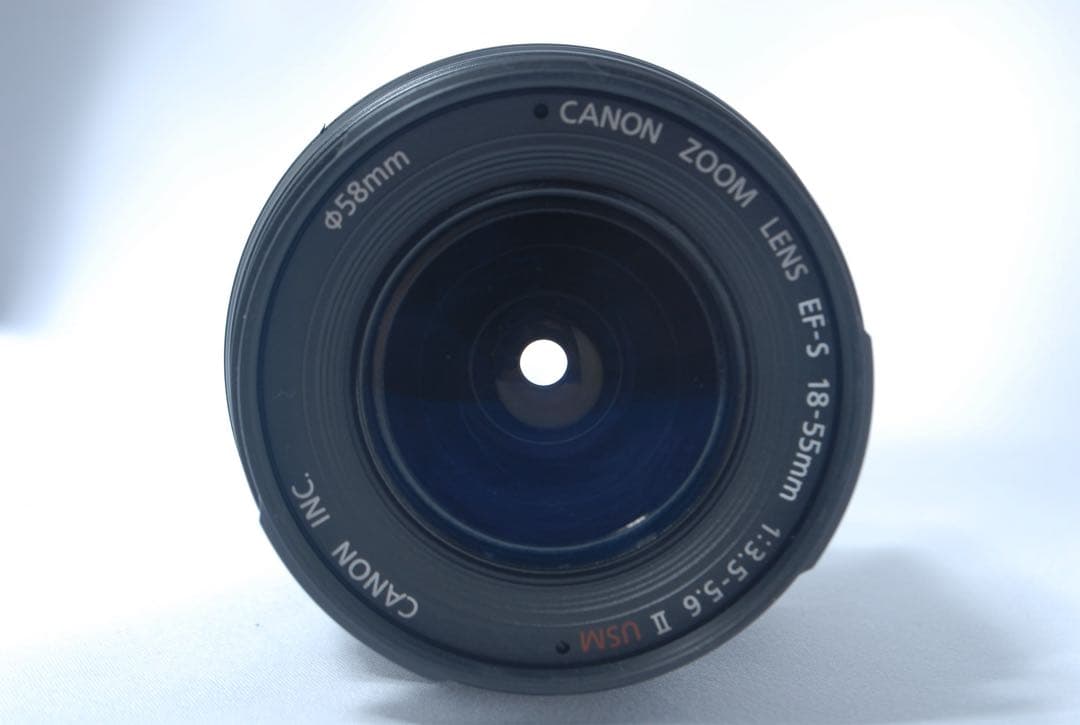 キャノン 一眼レフ Canon EOS 7D Mark II ダブル 望遠レンズ