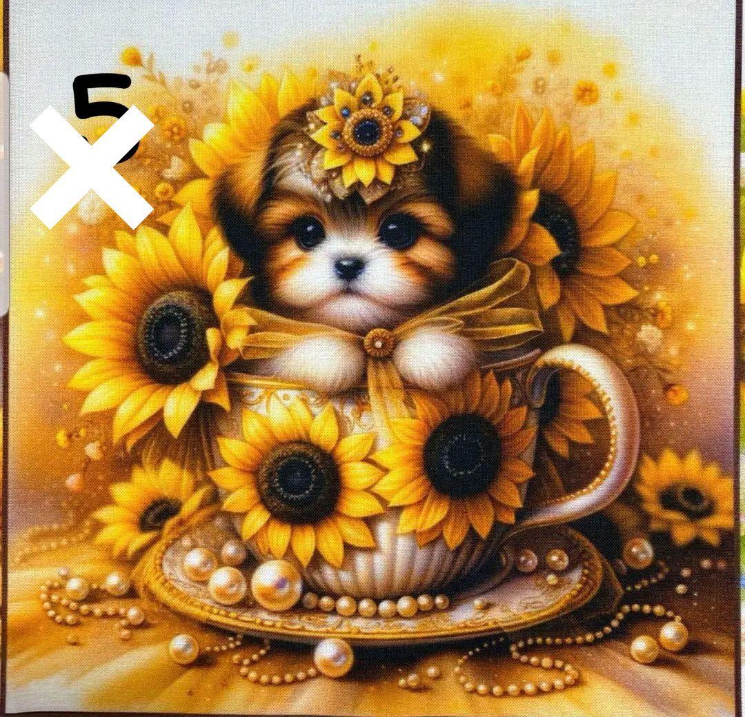 オーダー受付　向日葵　マルチーズ&シーズー　ご予約ページ　3/11