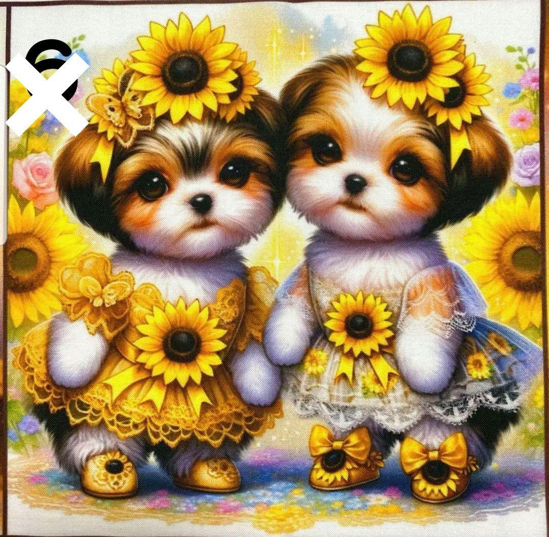 オーダー受付　向日葵　マルチーズ&シーズー　ご予約ページ　3/11