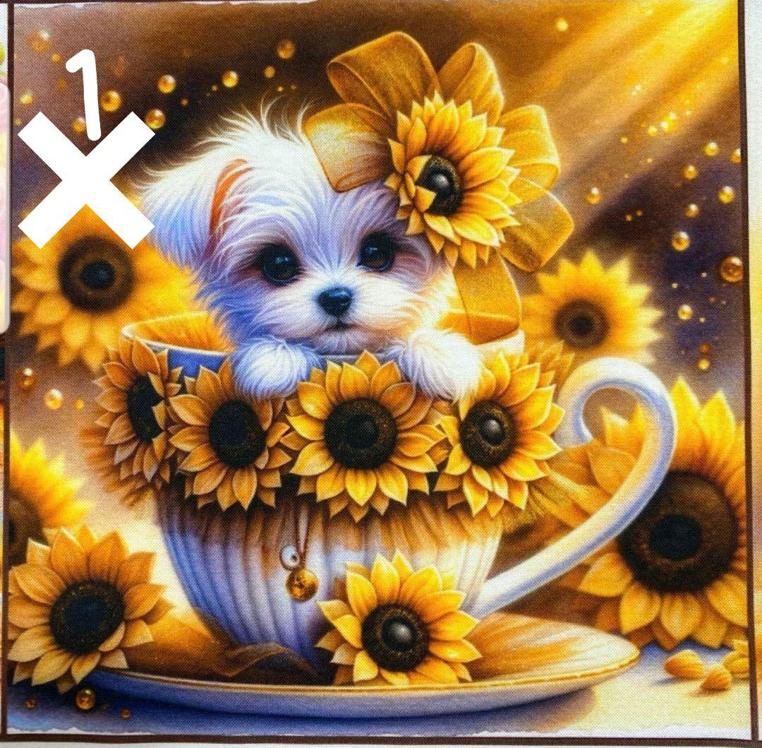 オーダー受付　向日葵　マルチーズ&シーズー　ご予約ページ　3/11