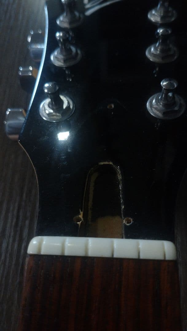 Burny バーニーシャチ FERNANDES