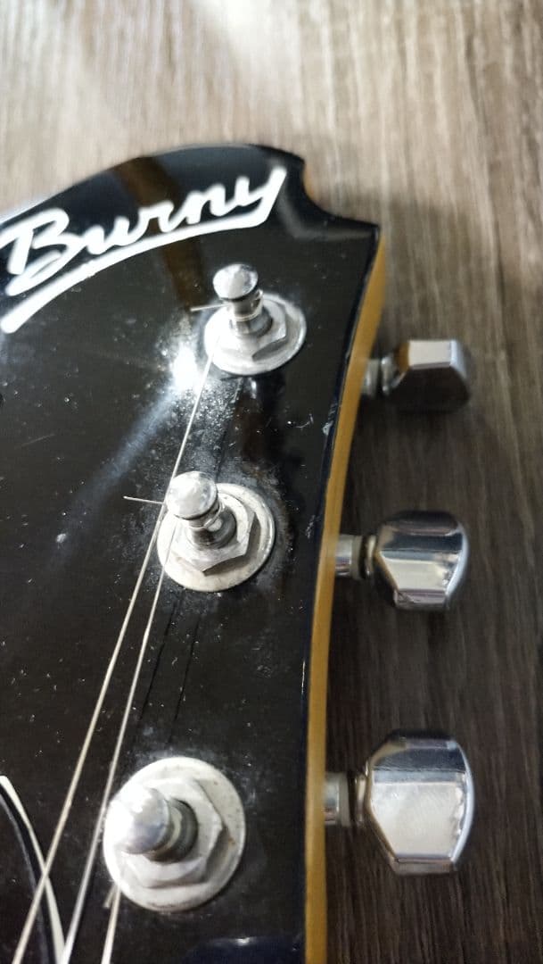 Burny バーニーシャチ FERNANDES