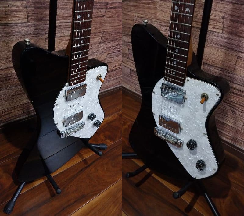 Burny バーニーシャチ FERNANDES